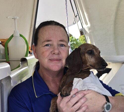 Jo, Blue Wheelers Baldivis. WA. Dog Groomer