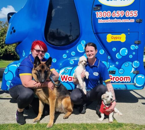 Marika and Shae, Blue Wheelers Rockingham WA