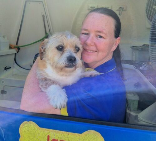 Jo, Blue Wheelers Baldivis. WA. Dog Groomer