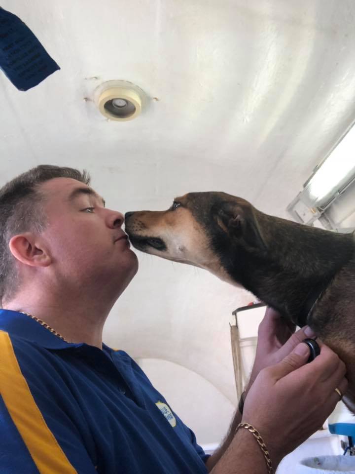 dog groomers adelaide southern suburbs