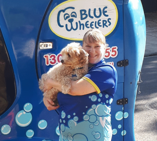 Ali, Dog Groomer Wheelers Morphett Vale. SA.