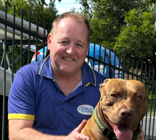 Jason, Blue Wheelers Regents Park, QLD. Dog Groomer