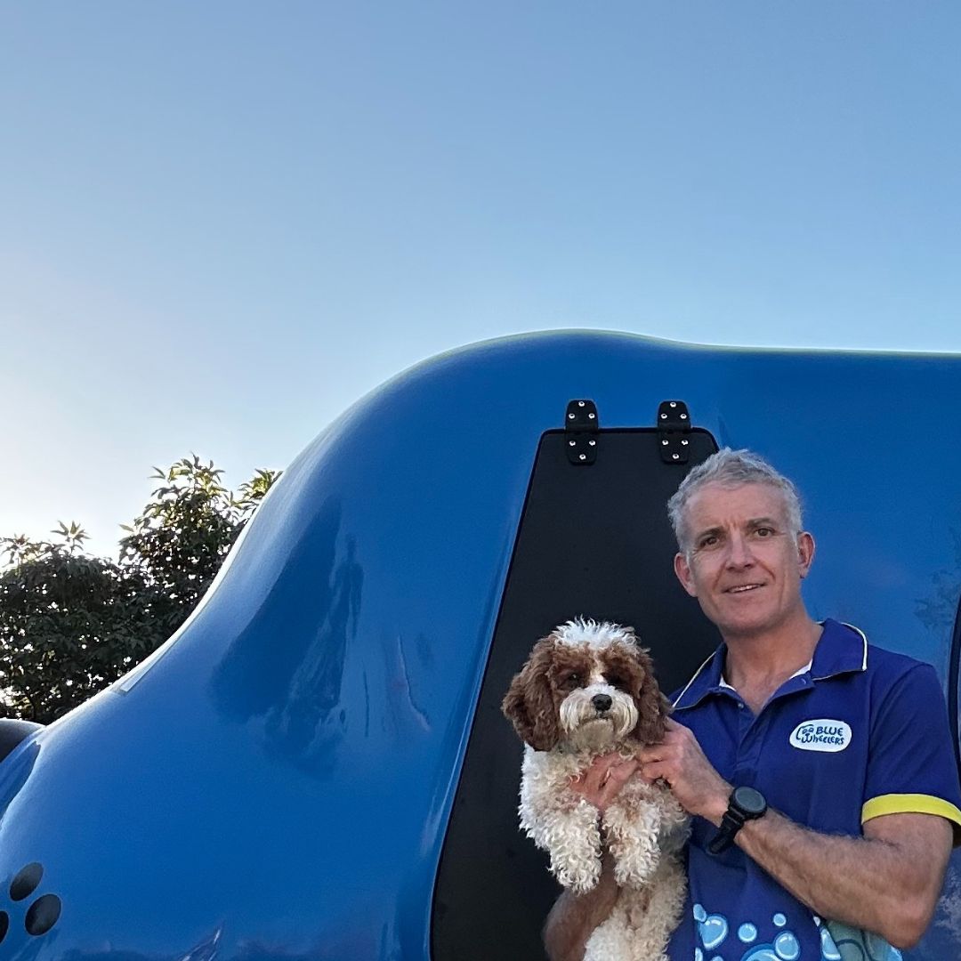 BlueWheelers