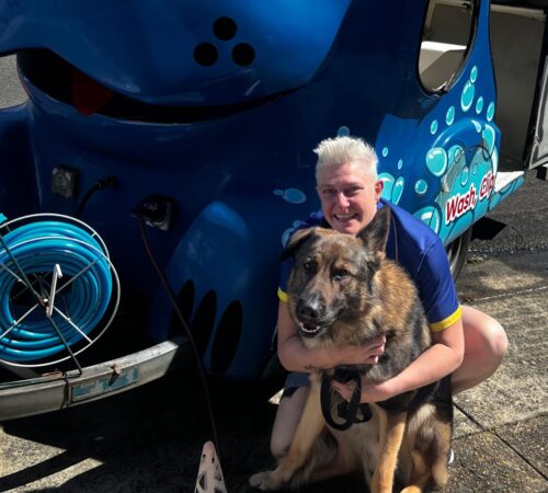 Hanna, Blue Wheelers Croydon Park. NSW. Dog Groomer