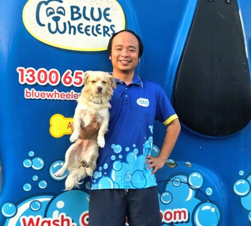 Khoi, Blue Wheelers Darwin Central. NT. Dog Groomer
