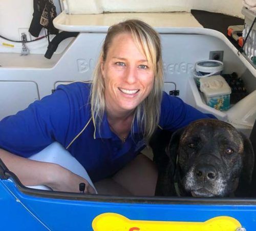 sonya's mobile grooming