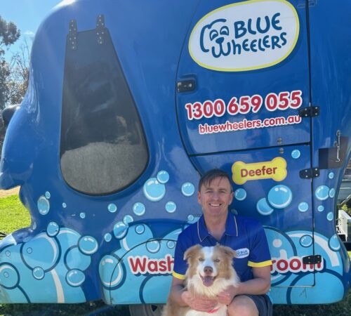 Vin, mobile dog groomer, Blue Wheelers Angle Vale, SA