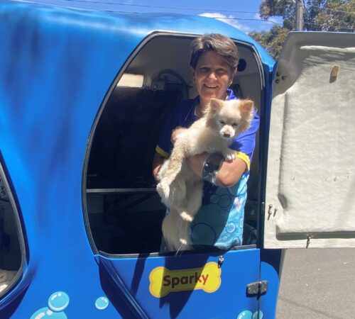 Amber Osborne from Blue Wheelers Vermont