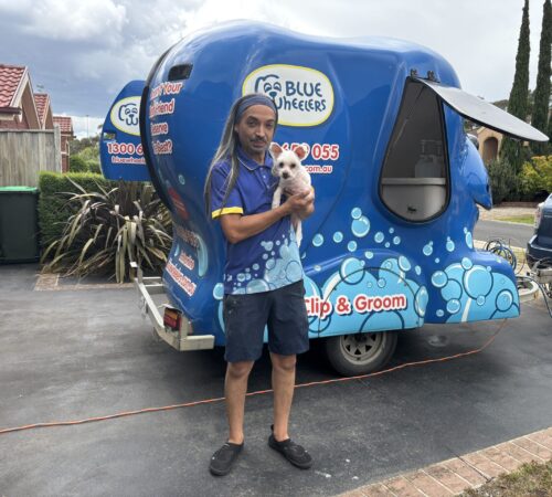 Marcello from Blue Wheelers Langwarrin