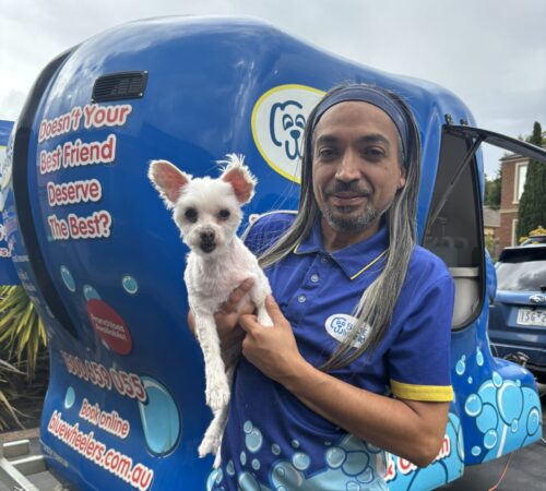 Marcello from Blue Wheelers Langwarrin