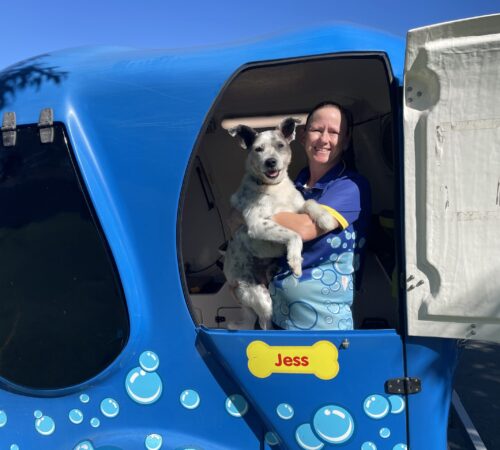 Kristy, dog groomer, Blue Wheelers Ormeau, Qld