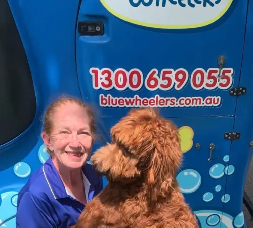 Margie Davie, Blue Wheelers Dog Groomer, Brighton Le Sands, NSW