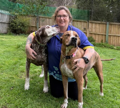 Jo-Ann, Blue Wheelers Kingston. TAS. Dog Groomer