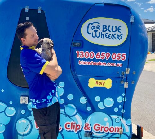 John Carvan from Blue Wheelers Albion Park