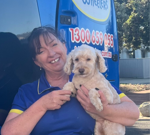 Meredith, Blue Wheelers Torquay, Vic