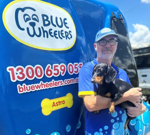 Blue Wheelers Dubbo