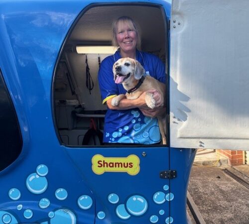Rebecca, Blue Wheelers Lilydale, VIC. Dog Groomer