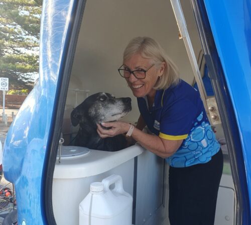 Tracey, Blue Wheelers Largs Bay, SA