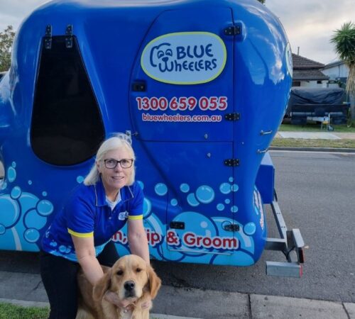 Tracey, Dog Groomer, Blue Wheelers Largs Bay, SA