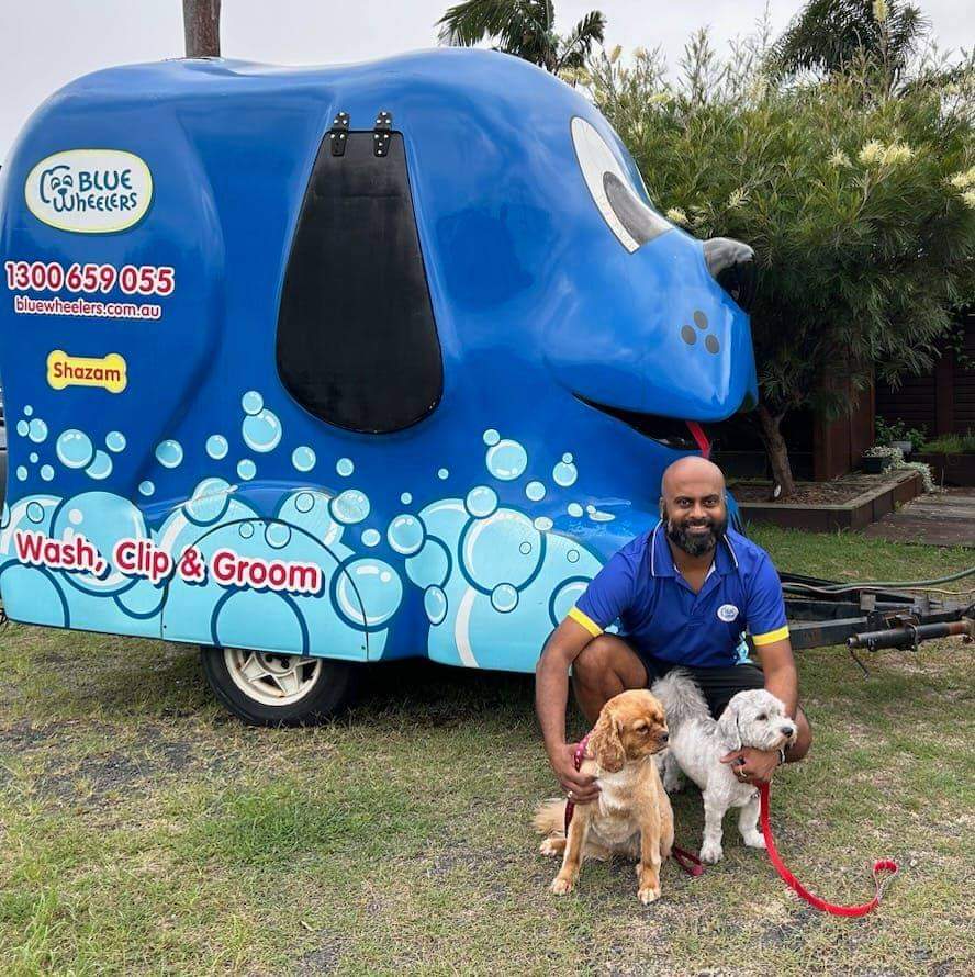 Grooming Near Groom Mobile Pet Grooming Grooming Outlet Mobile