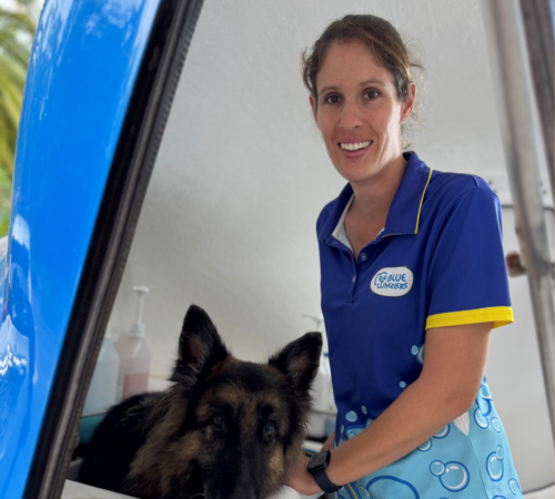 Tania, Dog Groomer, Blue Wheelers Noosa, Qld
