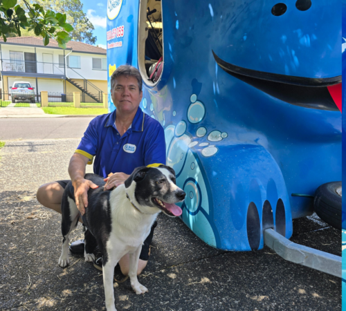 Trevor Davidson from Blue Wheelers Wynnum