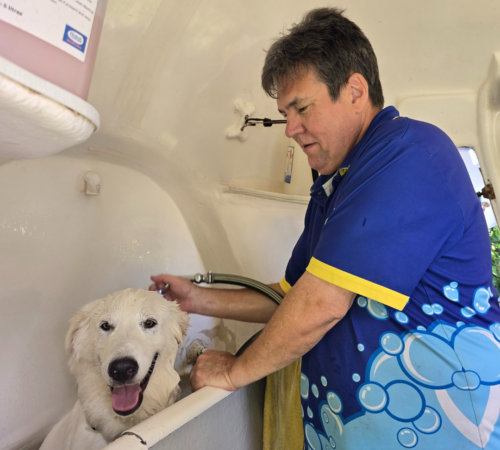 Trevor Davidson from Blue Wheelers Wynnum