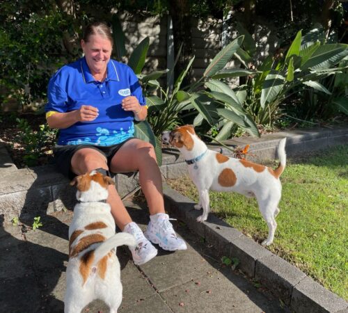 Toni, Blue Wheelers Dog Groomer, Jindalee, Qld