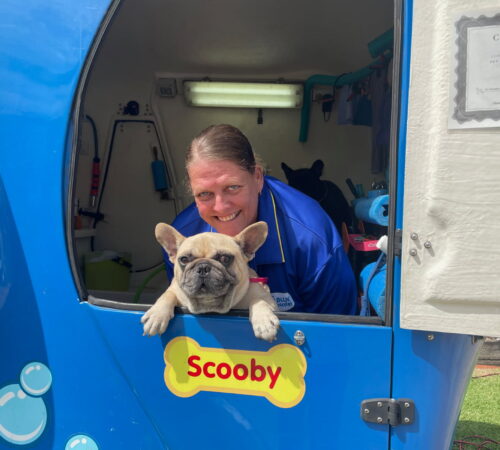 Toni, Blue Wheelers Dog Groomer, Jindalee, Qld