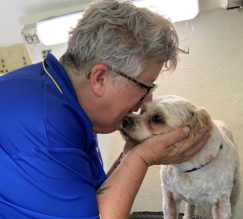 Catherine, Blue Wheelers Raymond Terrace