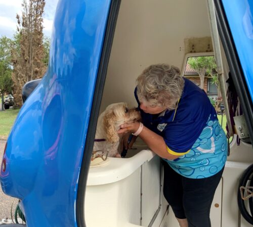 Catherine, Blue Wheelers Raymond Terrace