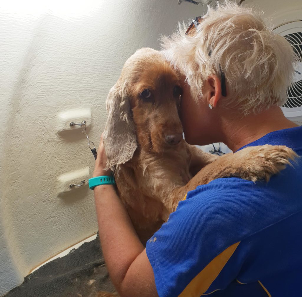 Wyoming Mobile Dog Groomer Professional Dog Wash