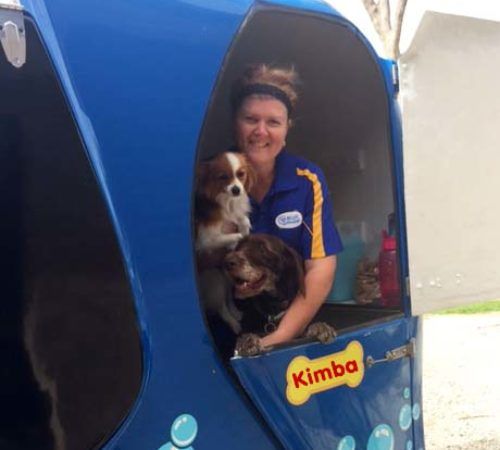 kelly's cuts mobile dog groomer