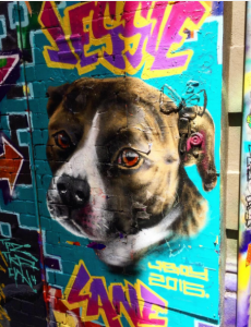 street art, artist, graffiti, graffiti, cute graffiti, dog graffiti, Melbourne, Melbourne street art, dog street art, cute dog, dog art, street art in Melbourne, visit Melbourne, street art graffiti, Hosier Lane, Hosier street art, Hosier Lane art, Hosier Lane graffiti, Hosier graffiti 