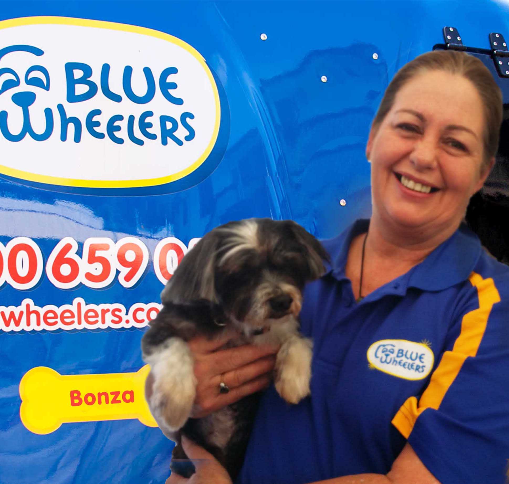 Blue Wheelers North Ipswich Blue Wheelers