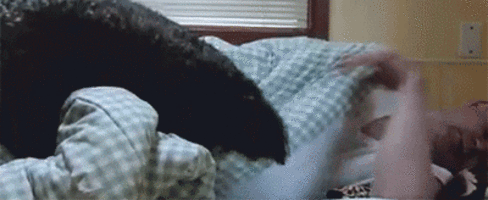 dog alarm , dog waking human up