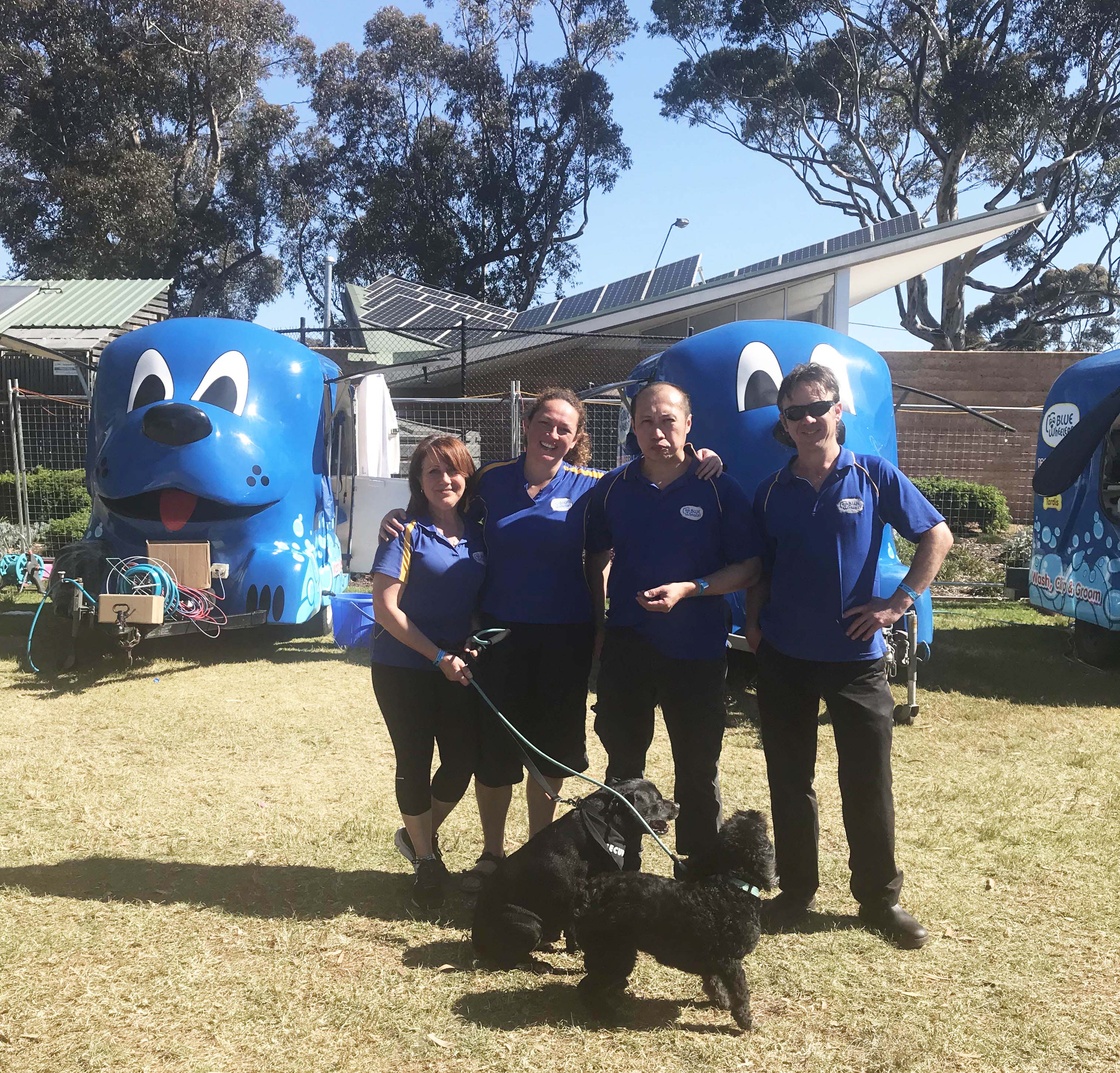 Oscar’s Law , dogs, Dogapalooza , Blue Wheelers, love dogs, dog event, dog events melbourne,, charity, dog charity