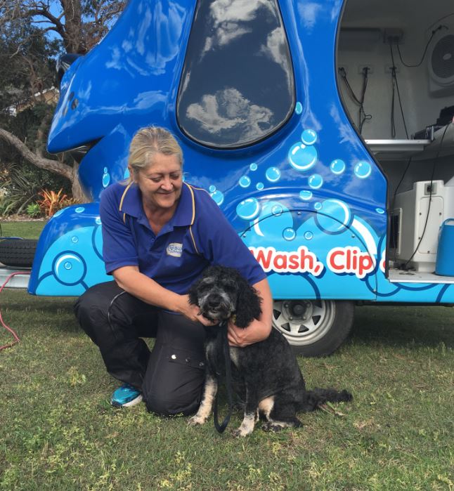Blue wheelers, dog grooming, blue wheeler dog groomer, dogs health, healthy dogs, keep dogs safe during hot weather, hot weather tips. when the weather is too hot, takecare of your dog during warm weather, hot days Melbourne.