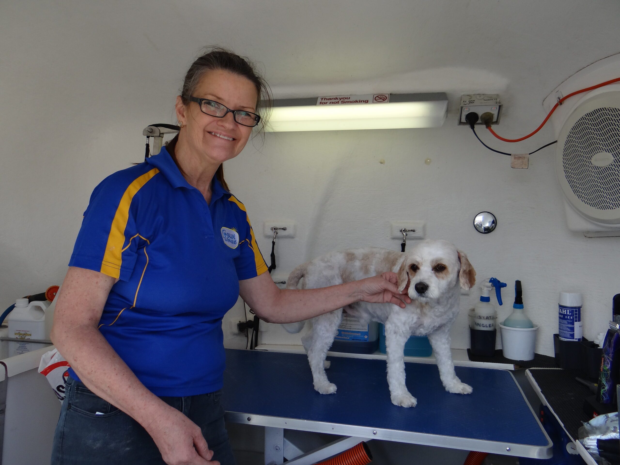 Blue Wheelers Edgewater Blue Wheelers