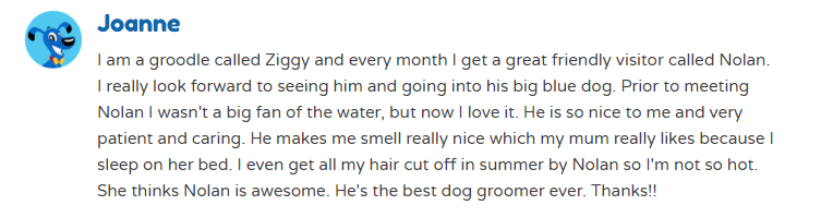 mobile dog groomer, dog grooming reviews, grooming reviews, blue wheeler reviews, reviews for blue wheeler, good groomer reviews, mobile dog grooming