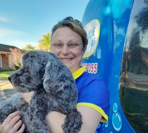 Dorlene, Blue Wheelers Beverly Hills, NSW. Dog Groomer.