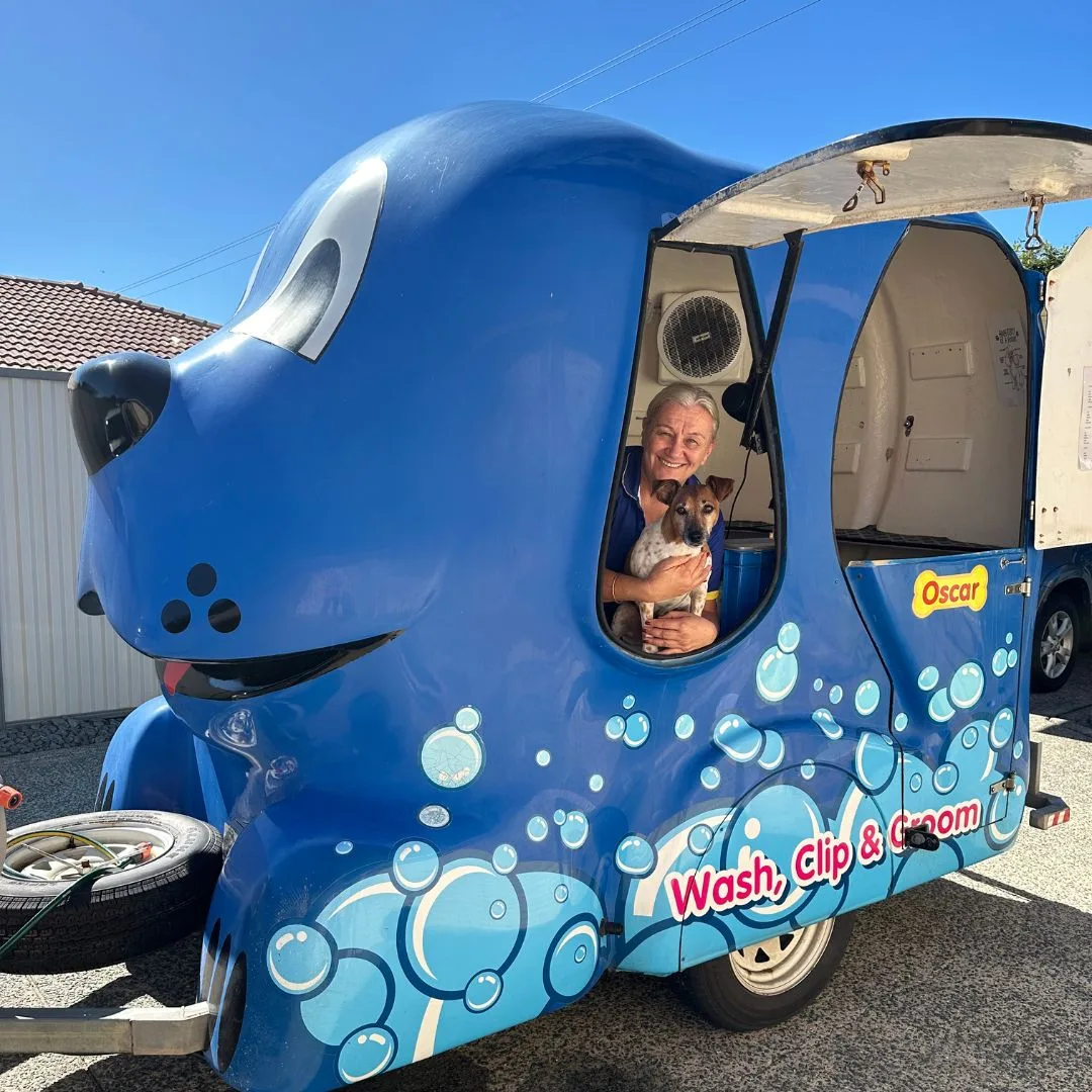 BlueWheelers