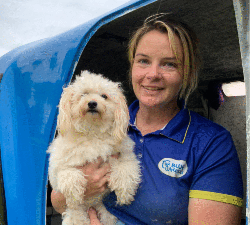 Helen, Blue Wheelers Richmond. NSW. Dog Groomer.