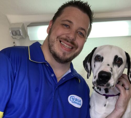 Lindsay Blue Wheelers