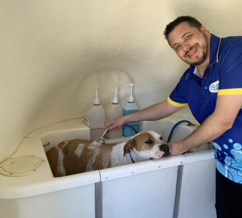 Blue Wheelers Modbury