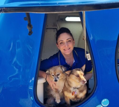 Nicole, Blue Wheelers Greenwood