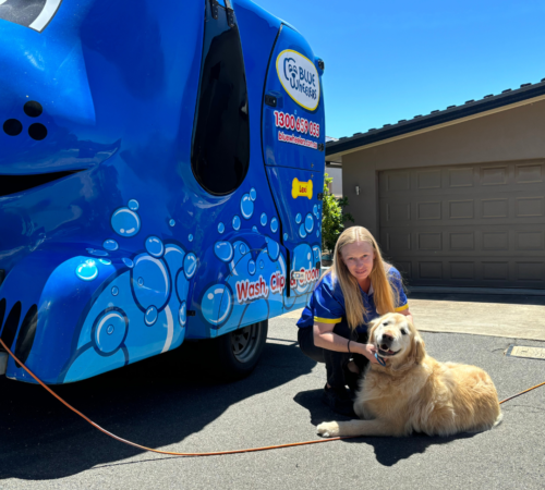 Narelle from Blue Wheelers Golden Square