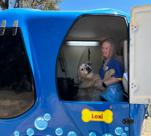 Narelle from Blue Wheelers Golden Square