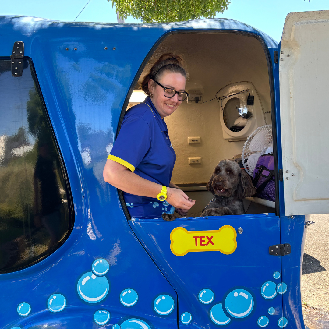 BlueWheelers