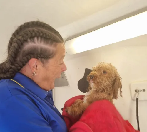 Blue Wheelers East Cannington, WA dog grooming